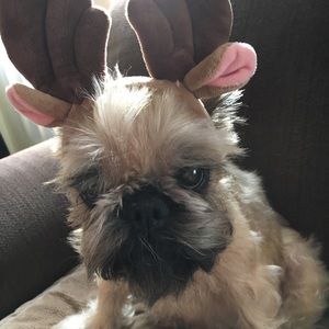 Meet your Posher, Malissa